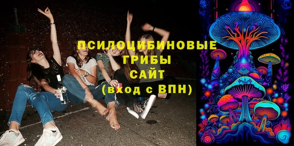твердый Алексеевка